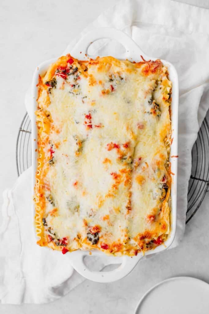 Chicken Alfredo Lasagna in a casserole dish. 