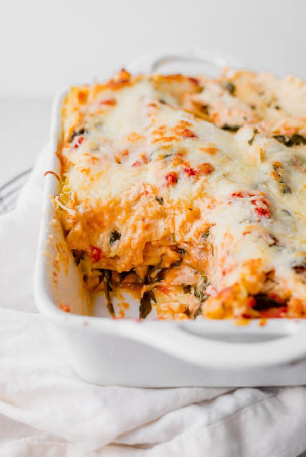chicken alfredo lasagna