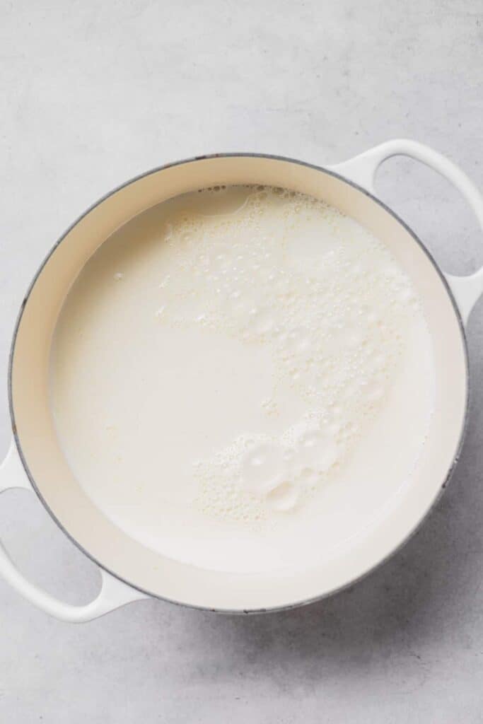 curd and whey in pot