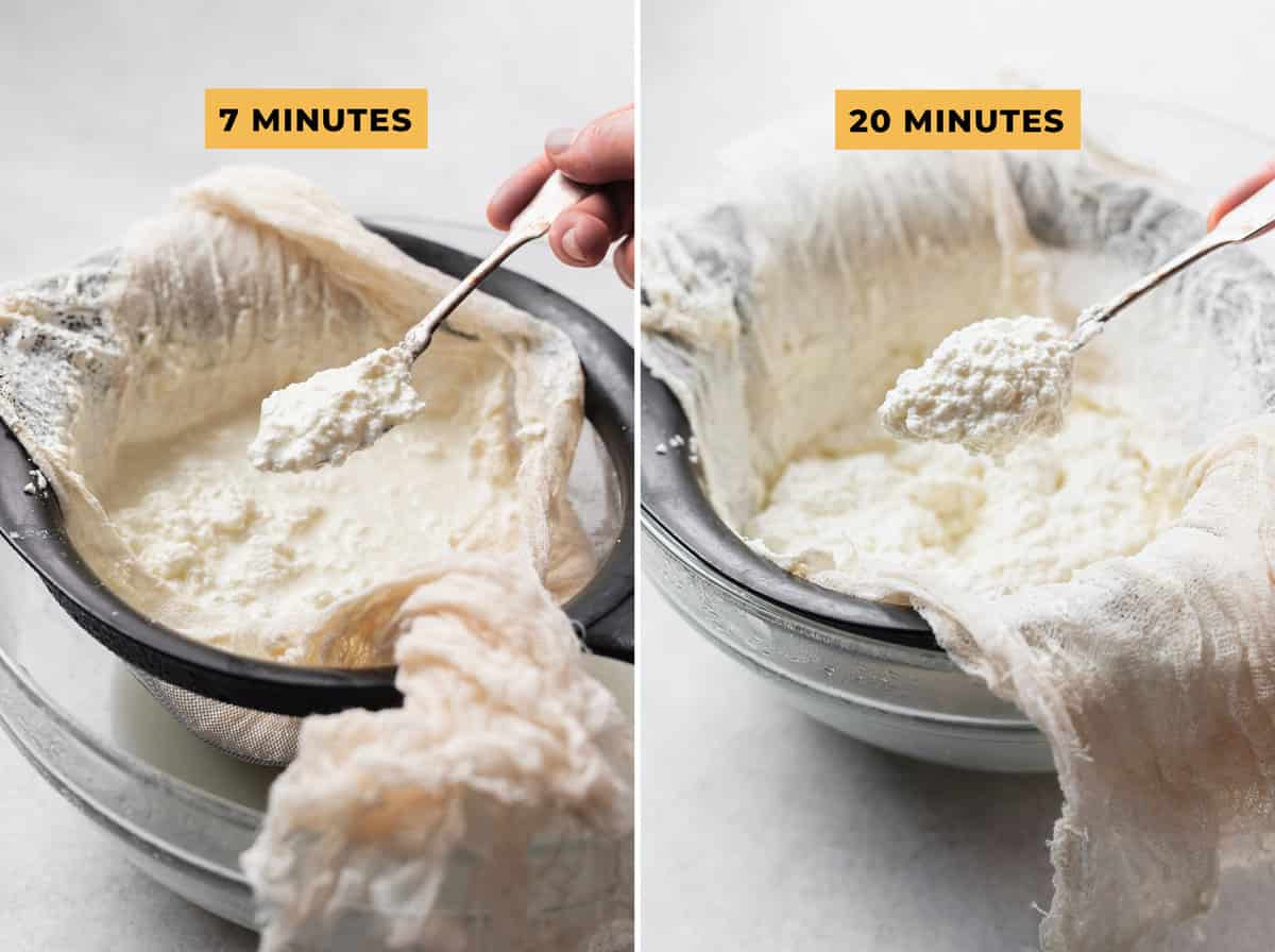 How to Make Ricotta Cheese (4ingredients!) The Cheese Knees