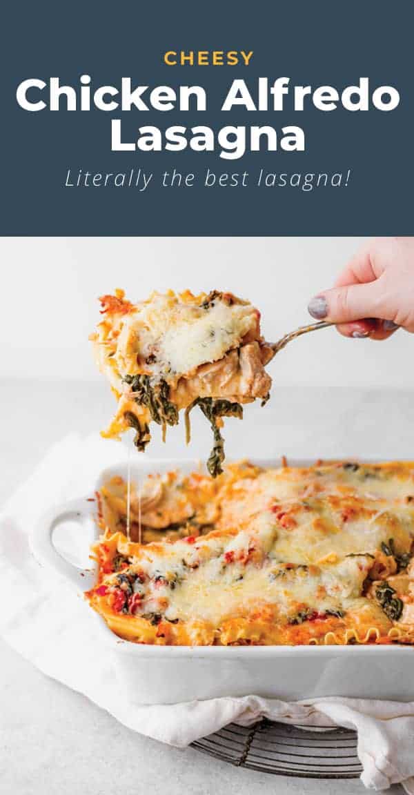 Chicken Alfredo Lasagna (So Easy!) The Cheese Knees