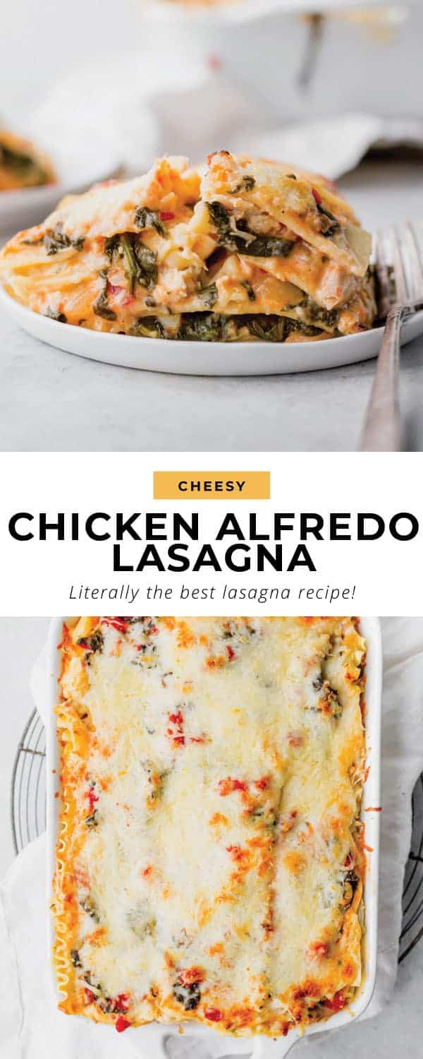 Chicken Alfredo Lasagna (So Easy!) The Cheese Knees
