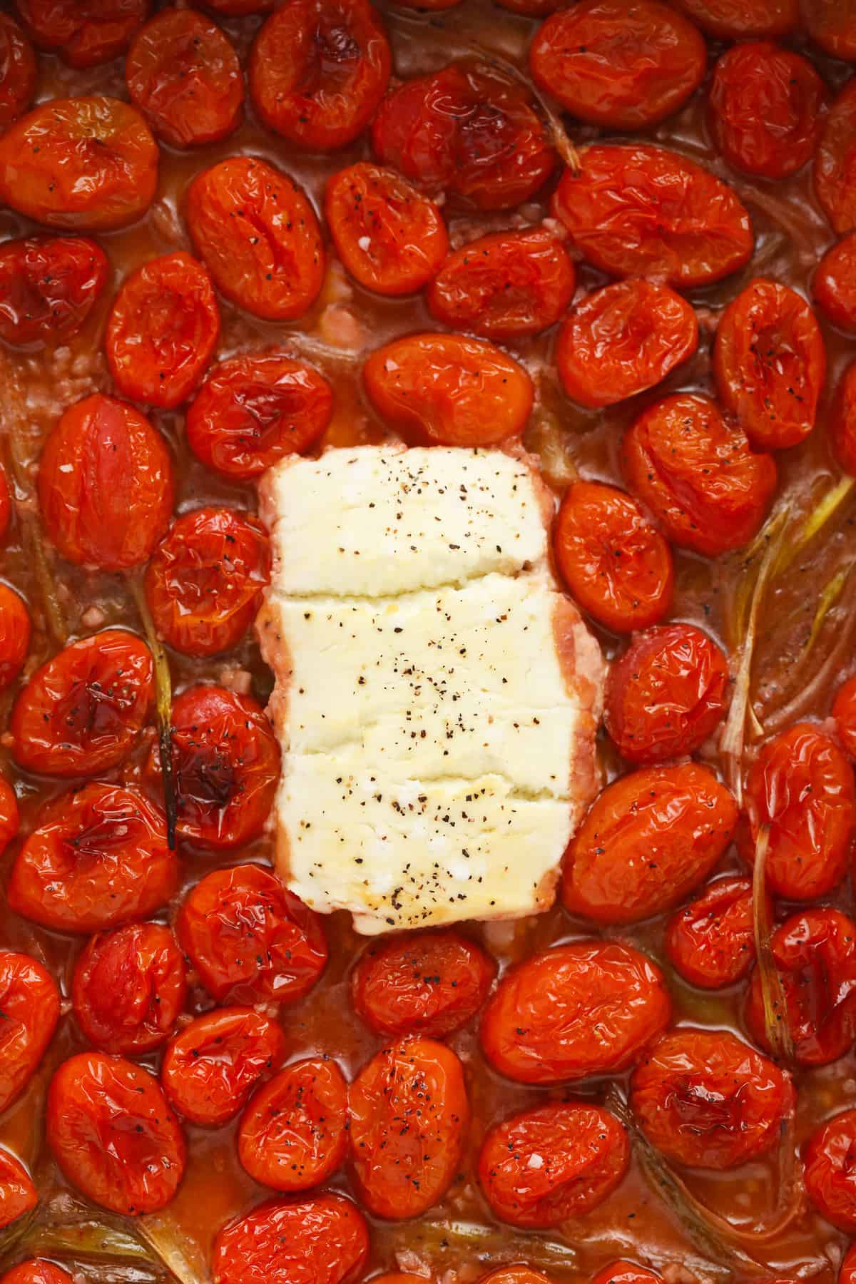 Baked goat cheese surrounded by tomatoes. 