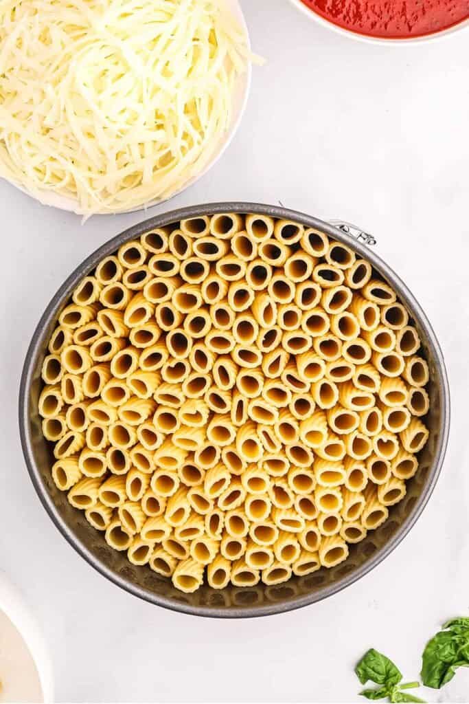 rigatoni noodles in springform pan