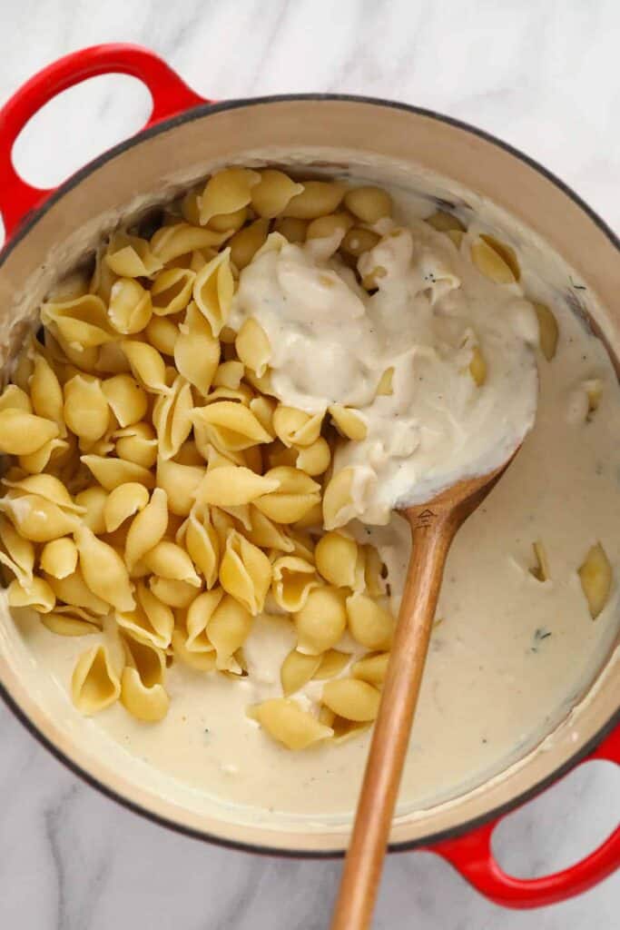 Noodles and mac and cheese sauce