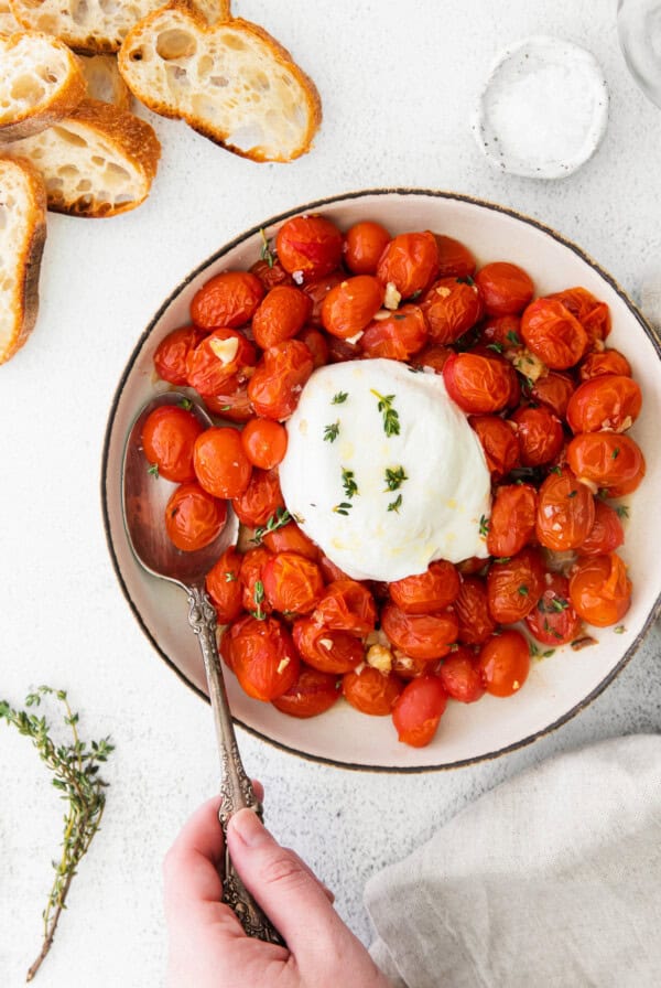 burrata and tomatoes.