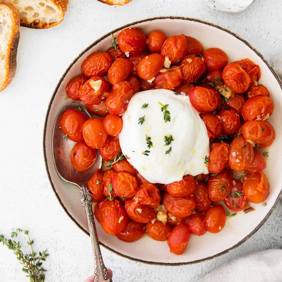 
                  Burrata Appetizer With Tomatoes