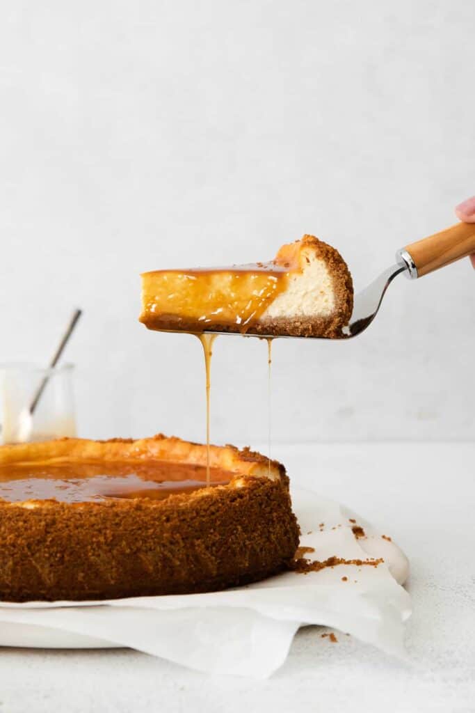 Lifting a piece of cheesecake from the spring form pan. 