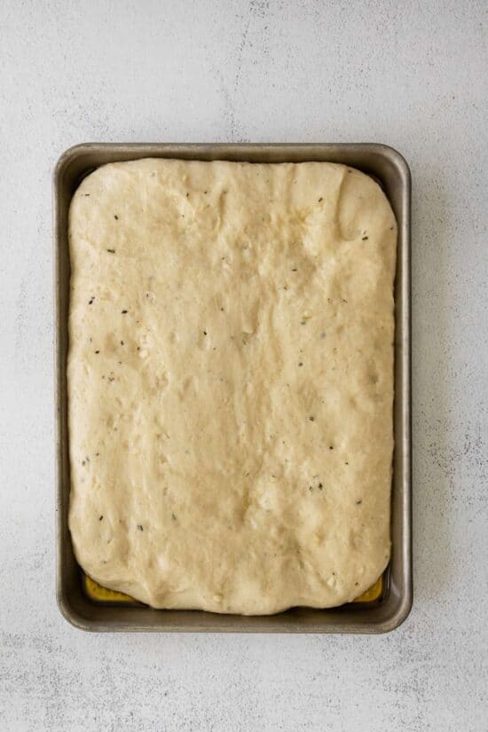 Parmesan Rosemary Focaccia Bread - The Cheese Knees