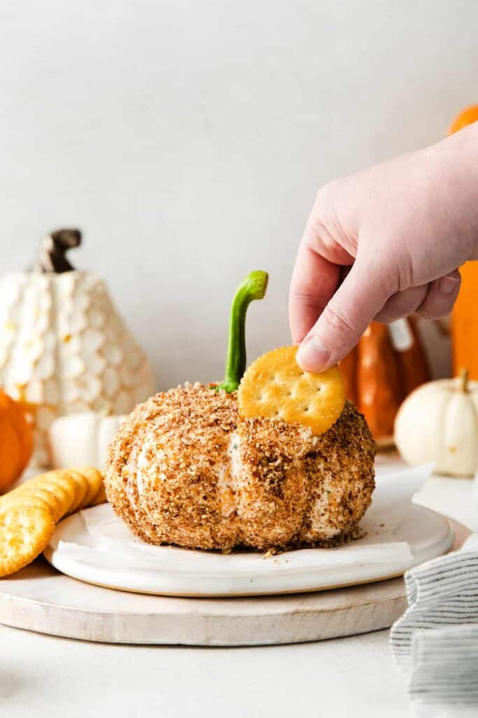 Dipping cracker in pumpkin cheese ball.