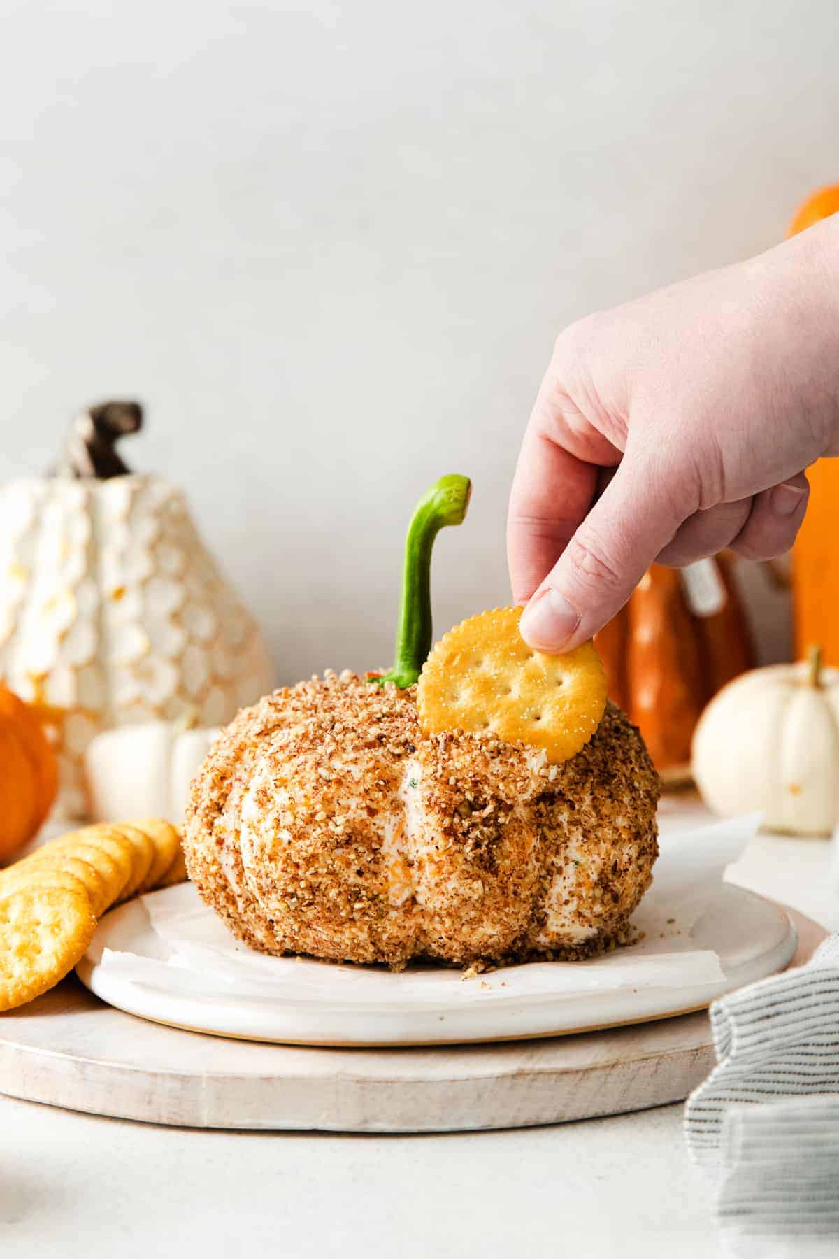 Dipping cracker in pumpkin cheese ball.