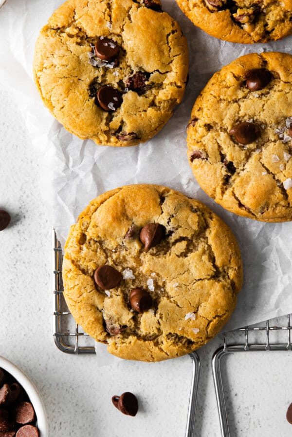 cream cheese chocolate chip cookies