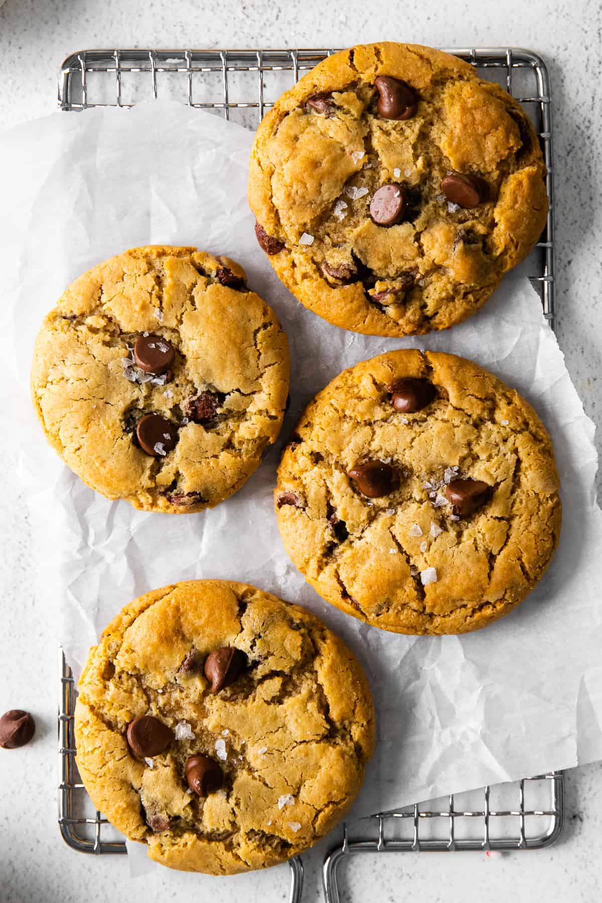 cream cheese chocolate chip cookies on a cooling rack