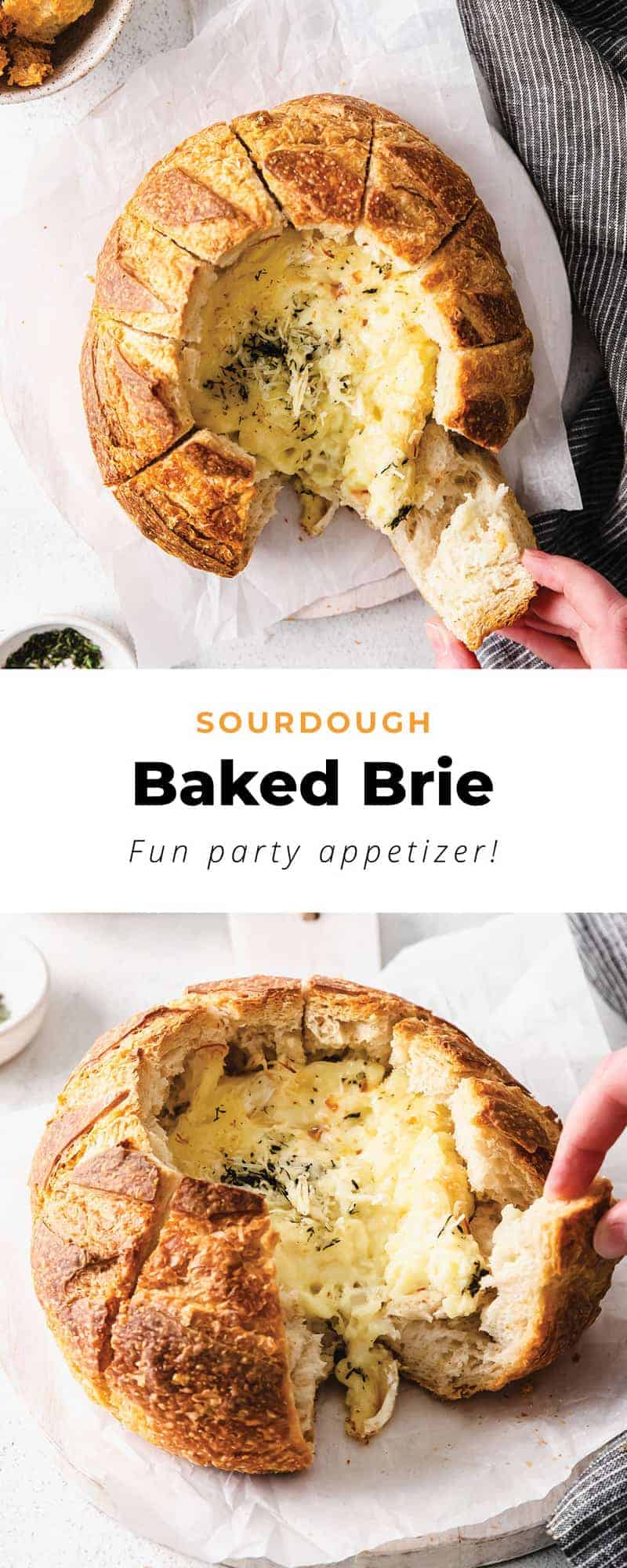 Sourdough Baked Brie The Cheese Knees