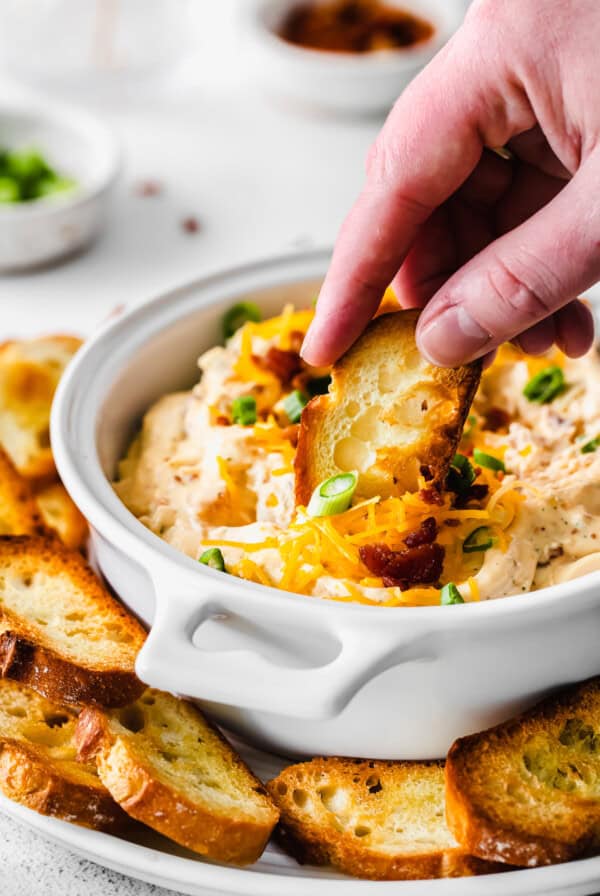 chicken bacon ranch dip