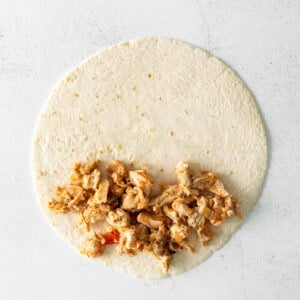 a burrito filled with chicken and cheese on a white background.