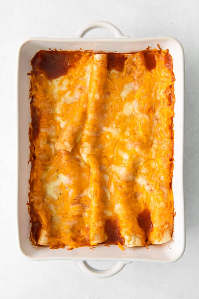 Cheese Enchiladas (never soggy!) The Cheese Knees