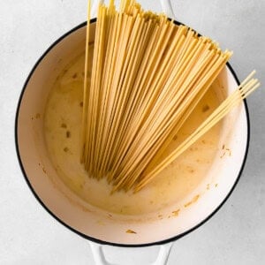 Dry pasta in a Dutch oven with a heavy cream pasta sauce.