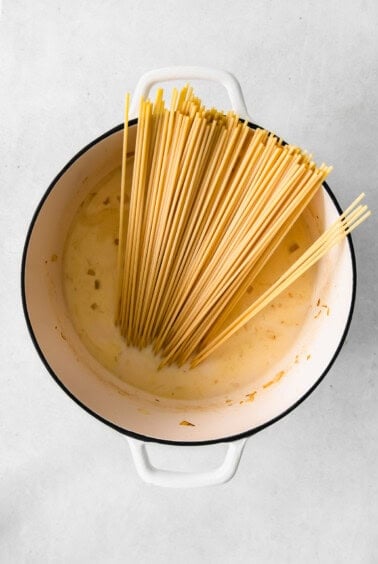 Dry pasta in a Dutch oven with a heavy cream pasta sauce.