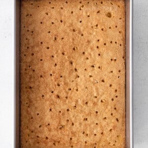 graham cracker bars in a metal pan on a white background.