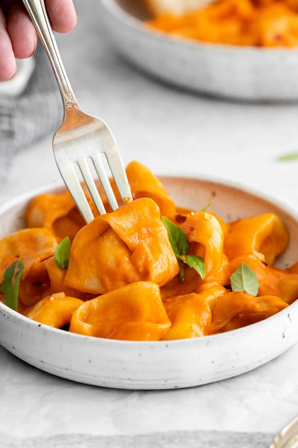 A fork spearing a cheese tortellini. 