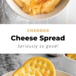 Homemade cheese spread.