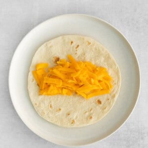 cheese on tortilla