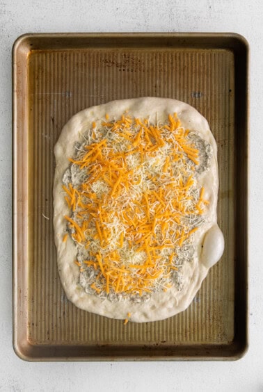 cheese on pizza crust.