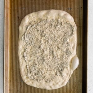 seasoned pizza crust.