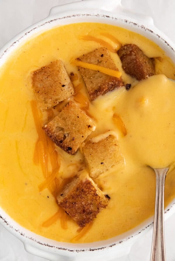 Cheddar cheese soup.