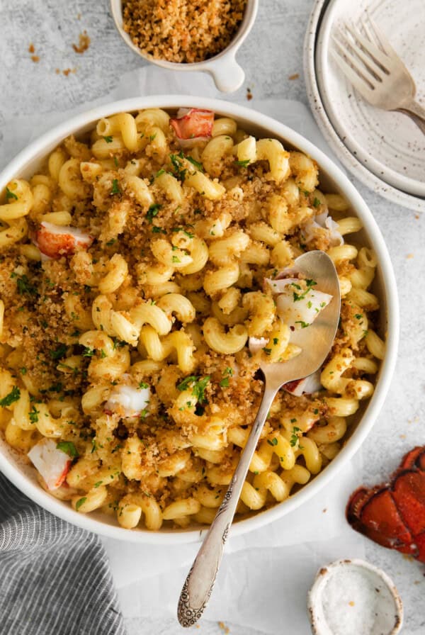 lobster mac and cheese and a spoon in bowl.