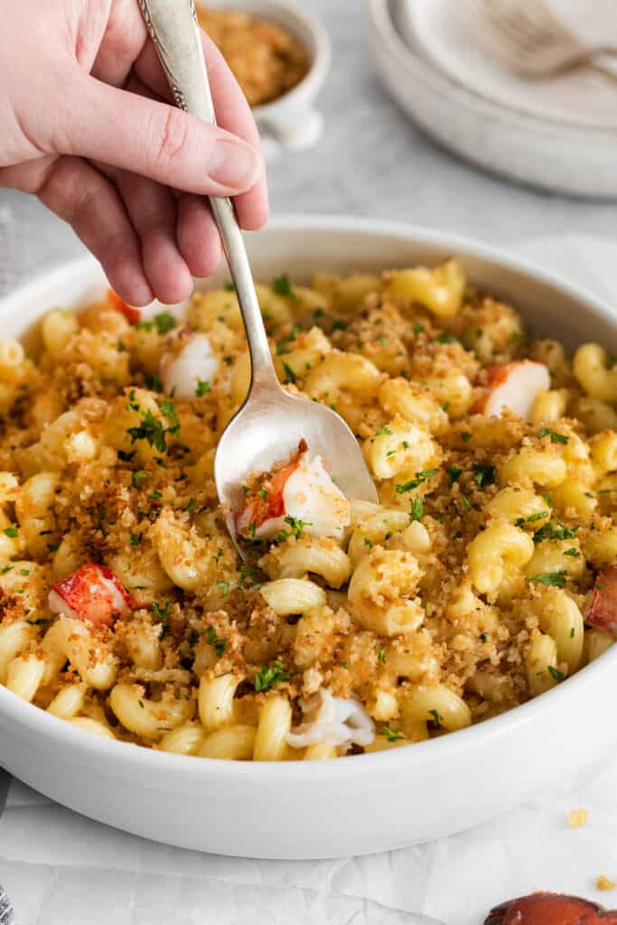 scooping lobster mac and cheese on a spoon.