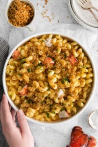 lobster mac and cheese in bowl.