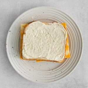 a sandwich with cheese on a white plate.