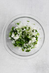 cilantro and onion in bowl.