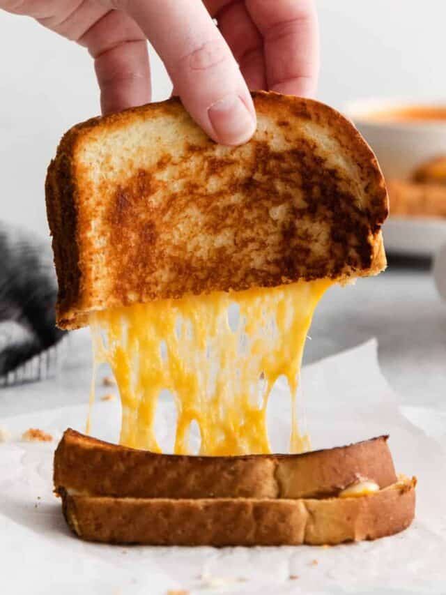 Best Grilled Cheese Recipes - Cheese Knees 🧀