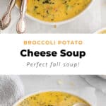 Broccoli potato cheese soup in a bowl.