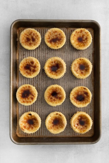 Hard sugar topping on top of each mini cheesecake.
