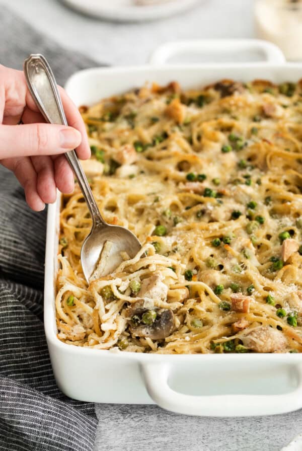 tetrazzini in casserole dish.