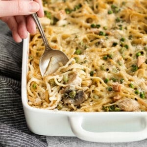 turkey tetrazzini in dish.