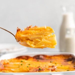 A scoop of scalloped potatoes.