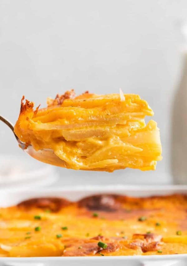 A scoop of scalloped potatoes.
