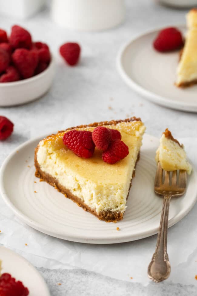 Decadent Ricotta Cheesecake The Cheese Knees   Ricotta Cheesecake 03 650x975 