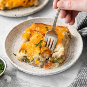 Cheesy shepherd's pie on a plate.