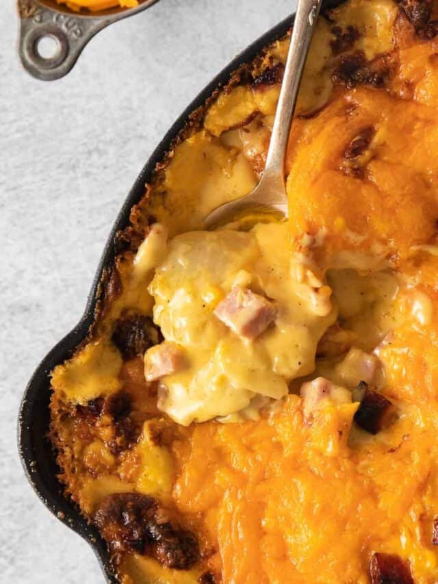 Ham and Scalloped Potatoes - Cheese Knees 🧀