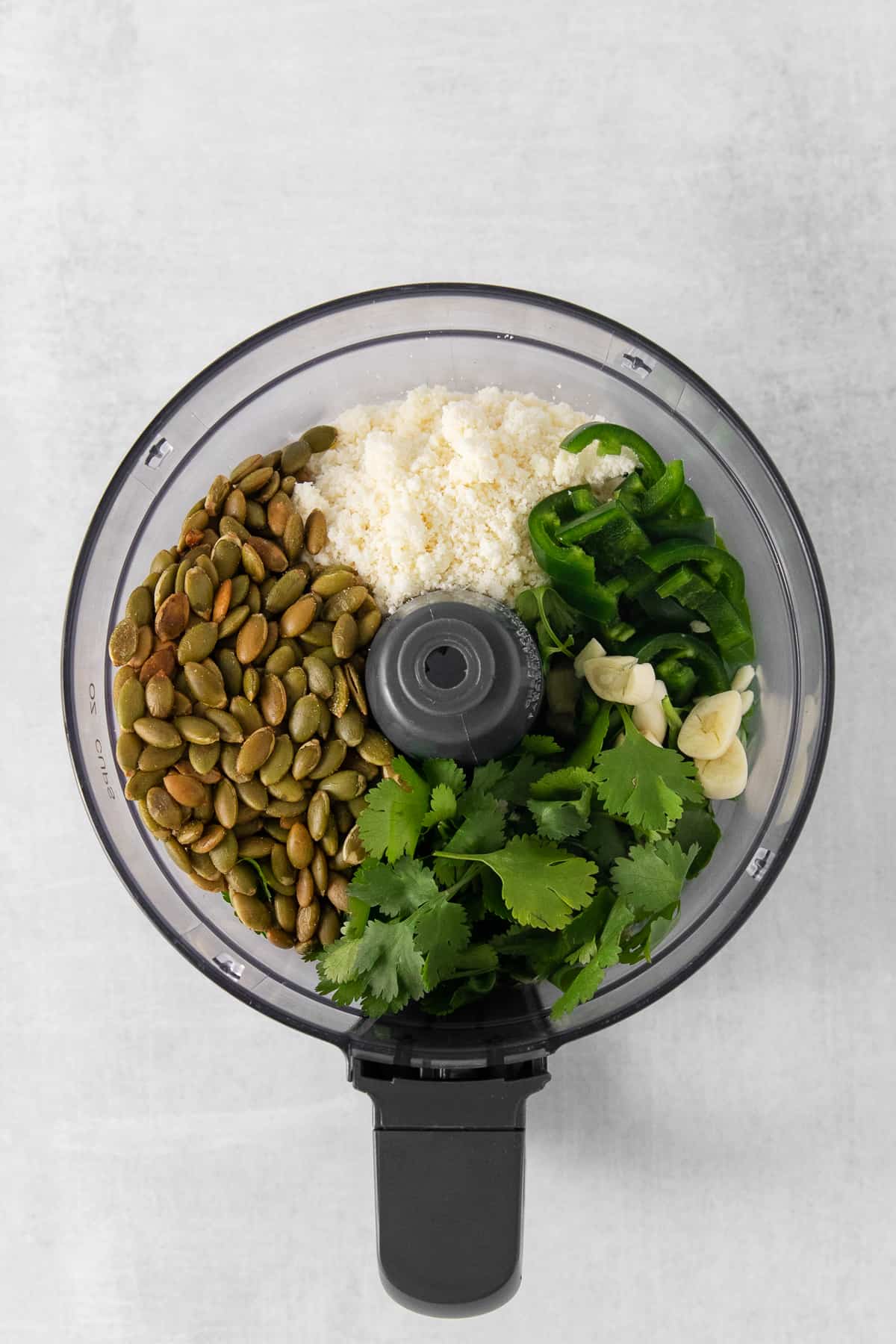 Ingredients for cilantro pesto in a food processor.