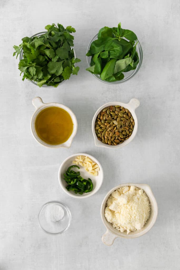 Ingredients for cilantro pesto in bowls.