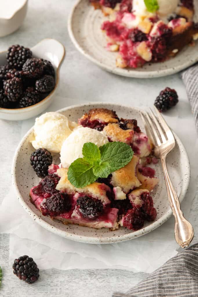 a plate of blackberry cobbler with a scoop of ice cream.