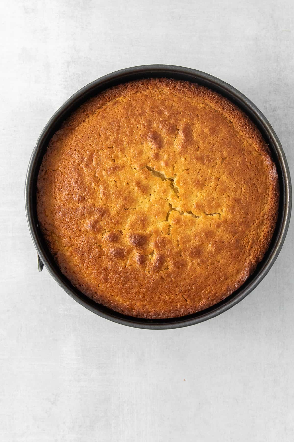 Lemon olive oil cake in a cake pan.