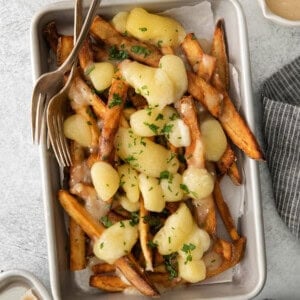 a plate of french fries topped with cheese and parmesan.